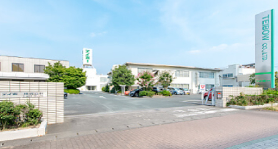 テイボーホールディングス